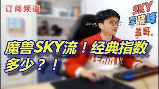 【Sky的魔兽争霸3】魔兽SKY流！经典指数多少？！