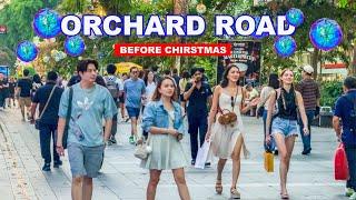 Sneak Peek Of Christmas On Singapore Iconic Orchard Road | Singapore Travel 