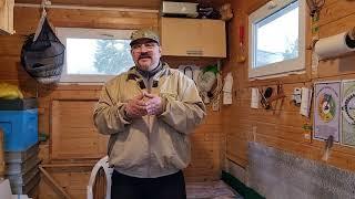  Полезные знания о пчёлах-трутовках. Видео по пчеловодству для начинающих 2024 