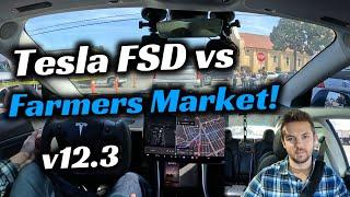 Tesla's FSD Beta v12.3 vs Sunday Mayhem!