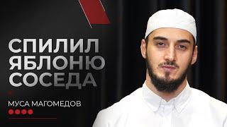 Спилил яблоню соседа | ВОПРОС ИМАМУ