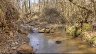 Cabin on a creek | Mark Reeves