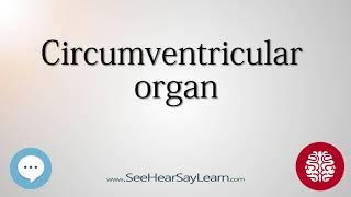 Circumventricular organ   Anatomy of the Brain   SeeHearSayLearn 