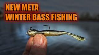 Latest Fishing META for Catching Winter Bass Fishing - Hover Strolling and Spine Rig