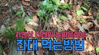 잔대의 놀라운 효능