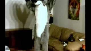 Funday Pawpet Show #439 - Subservient Skagit - Part