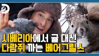 오! 도토리가 있네요 다람쥐를 죽여야겠어요, 베어그릴스의 다람쥐 먹방 [Man vs Wild]