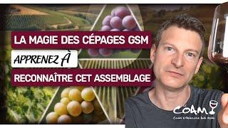 La magie des cépages GSM, ou les secrets des grands vins du Sud