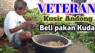 Kusir Andong "VETERAN" pak Partijo - Beli pakan kuda