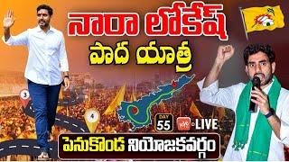 Nara Lokesh Penukonda LIVE | TDP Lokesh Padayatra Day 55 LIVE | Yuvagalam Padayatra LIVE | YOYO TV