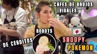 Visité 10 cafés extraños en Japón | LO QUE NADIE TE DICE