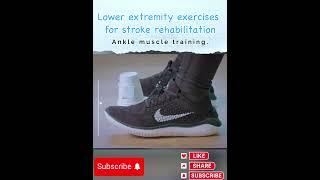 Avoid Stroke | Lower extremity exercises for stroke rehabilitation: Ankle muscle training