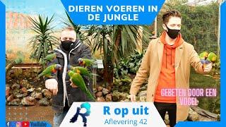 OP AVONTUUR IN EEN JUGLEPARK BIJ DE ORCHIDEEËN HOEVE IN LUTTELGEEST #ropuit - Aflevering 42