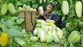 The joy of orphan boy Nam and his companion Micky harvesting cucumbers to sell | Nam - poor boy