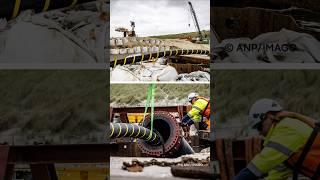 Undersea cables: Vital and vulnerable | Mapped Out