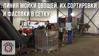 Линия мойки овощей, их сортировки и фасовки в сетку