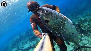 PESCASUB Tonno Enorme Pesca al Dentice Giant BLUEFIN TUNA SPEARFISHING 2024