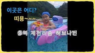제천 리솜 해브나인 수영장 힐링 여행 피톤치드 팡팡