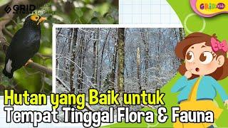 Jenis-jenis Hutan yang Baik untuk Tempat Tinggal Flora dan Fauna