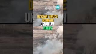 Russian Troops Decimate Ukrainian Forces In Zaporizhzhia And Kherson