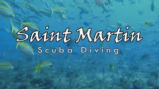 Scuba diving in St Martin | St Maarten | 4K