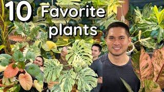 10 CURRENT FAVORITE PLANTS