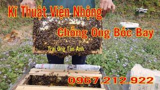 Viện Nhộng Chống Ong Bốc Bay Kỹ Thuật Nuôi Ong Nội