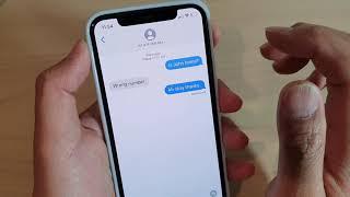 iPhone 11 Pro: How to Know if SMS Text Message Has Been Delivered and View the Timeline