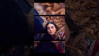 Osman's Bad Dream  about bala hatun