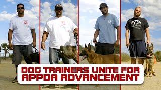 Elite Protection Training For Dogs