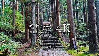 Visiting temples and shrines in another world in Fukui Prefecture - JAPAN in 4K