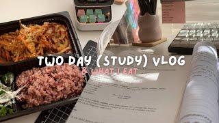 two day study vlog & what I eat [ft. vissles v84 mechanical keyboard]