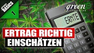 Wieviel kann ich WIRKLICH ernten ?| HomeGrow Basic‘s | GreenConnection