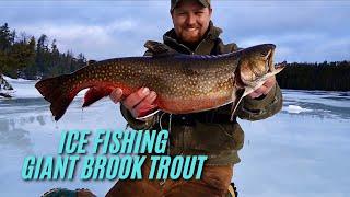 ICE FISHING for GIANT BROOK TROUT (New Personal Best)