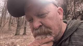 DogTag hiking the Appalachian Trail from Rocky Mtn to Dick's Creek Gap-Day 11, 12 & 13