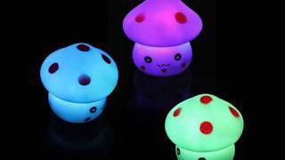 Mini Magical Mushrooms Information Video - The Gadget Lab