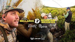 We Did The Ultimate Cast and Blast: Mallards and Mountain Brookies with Stuart Ranch Outfitters