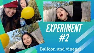 Mikayla's Experiment # 2