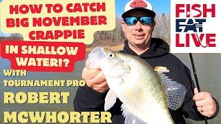 How to catch shallow Slabs in November Robert McWhorter Fish Eat Live