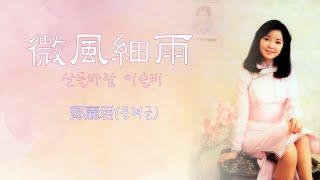 鄧麗君(등려군, Teresa Teng) - 微風細雨(산들바람 이슬비)【가사번역】 / 張毅(장의) 바이올린 연주곡 합본