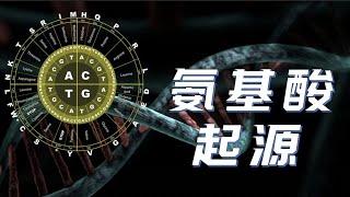 【鬼谷说】我们习以为常的万物，都是演化创造的奇迹——氨基酸