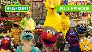 Find Dinosaurs with Elmo! | TWO Sesame Street Full Episodes
