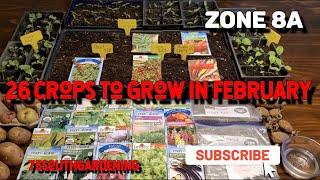 26 Crops to Grow in February | Spring Seedling Update | Zone 8a