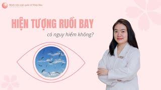 Hiện tượng ruồi bay có nguy hiểm không | Bệnh viện mắt quốc tế Nhật Bản 32 Phó Đức Chính