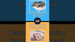 Would You Rather Animal Edition #wouldyourather #wouldyourathergame #pets #animals #yourpetspalace