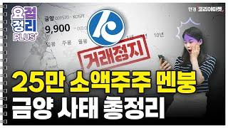 상폐위기 금양, 1년 후엔 달라질까ㅣ요점정리+