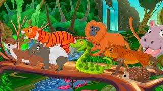 Amazon Animal Sounds Song | Animal Sounds Song For Kids | Wild Animals Song | Nursery Rhymes Kids