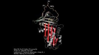 ISTH Academy presentation:  Thrombin inhibition by the serpins