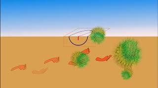clock in the desert