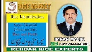 Super Basmati || Super Basmati Rice || Super Basmati Paddy || Traditional Basmati